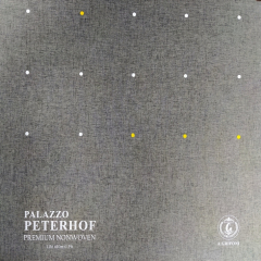 PALAZZO PETERHOF