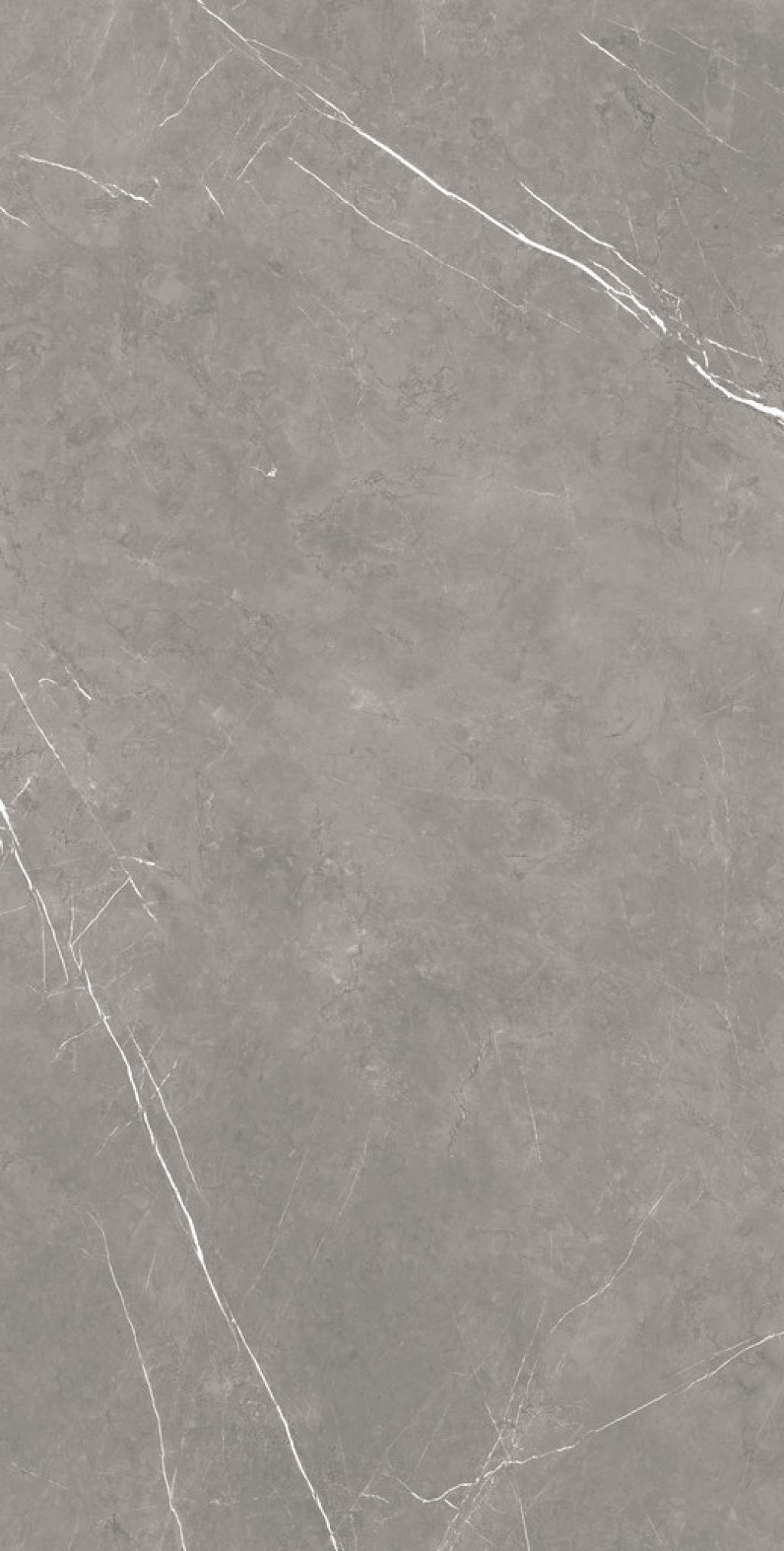 FORTE DEI MARMI Elegant Grey Мат 80x160х9