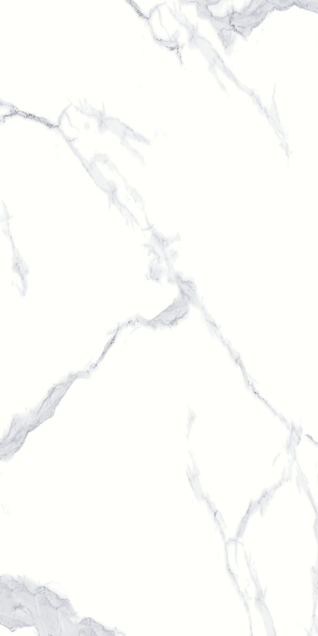 Calacatta White 60х120